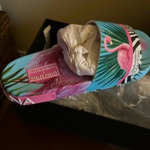 Slide on dolce and Gabbana flamingo style multicolor, DJ Khaled, edition
